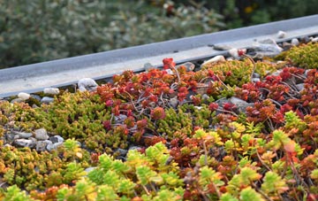 the cost of East Whitefield green roof installation