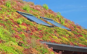 East Whitefield living roof systems
